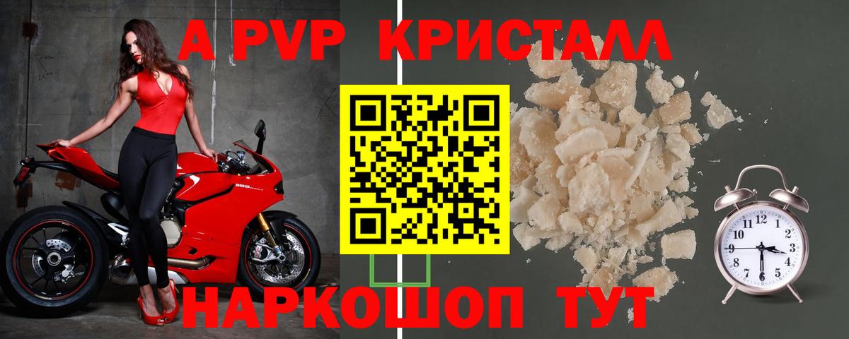 A PVP СК КРИС Можга