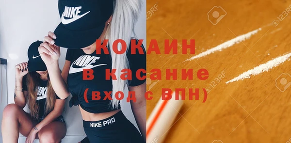 ешки Аркадак