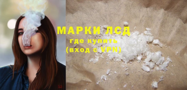 шишки Арсеньев