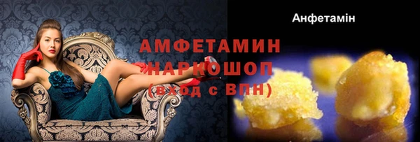 прущие грибы Алзамай