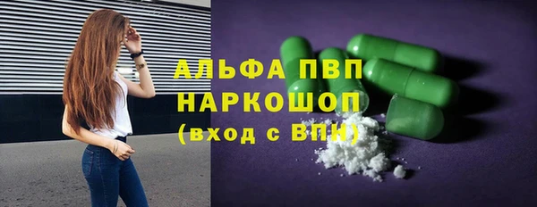 ешки Аркадак