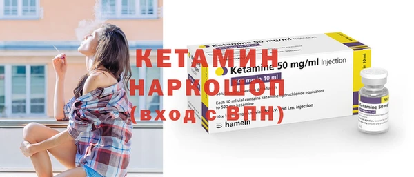 шишки Арсеньев