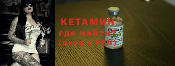 шишки Арсеньев