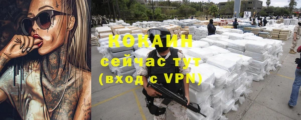 шишки Арсеньев
