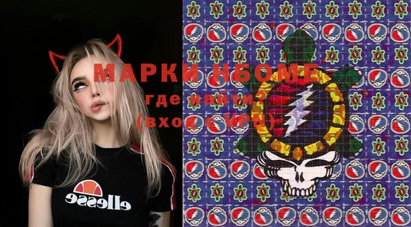 ешки Аркадак