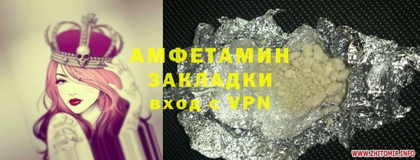 шишки Арсеньев
