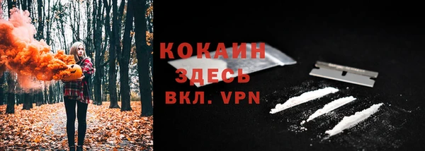 шишки Арсеньев
