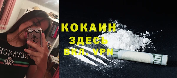 шишки Арсеньев